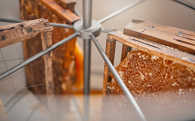Image showing Honey, farm and production with honeycomb extract in equipment for bee farming or beekeeping harvest. Food, agriculture and sustainability with honey comb in a machine to rotate closeup from above