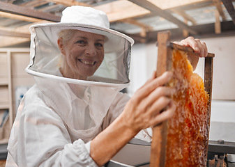 Image showing Beekeeper, honey and manufacturing with frame, honeycomb and suit for safety in workshop or farm. Portrait of agriculture employee or animal farmer happy, working and farming natural resource