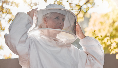 Image showing Agriculture, work and beekeeper farm safety suit for protection, production and harvesting. Nature, worker and beehive woman expert getting ready for inspection, extraction or check.