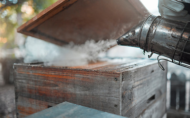 Image showing Smoke, beekeeping and agriculture with a wood box and bee smoker for production of honey, honeycomb and beeswax on farm. Apiarist worker working to calm hive or insects for maintenance and inspection