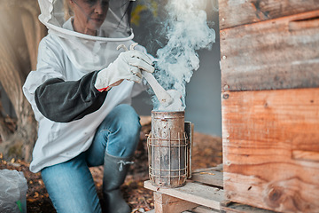 Image showing Beekeeper, bee suit and smoke, fog and smoking a beehive box outdoor on a farm, working and safety protection. Agriculture work, senior woman and farmer with a smoker to extract honey or honeycomb
