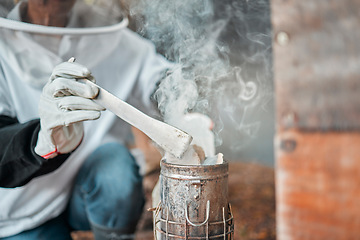 Image showing Beekeeper, hands and smoker at bee farm for smoking bees. Beekeeping, safety and worker or employee in suit with equipment tool to calm and relax beehive, bugs or insects for farming or honey harvest