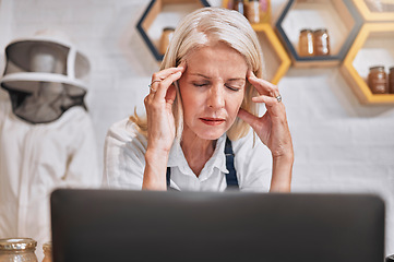 Image showing Headache, stress and honey with a retail woman beekeeper suffering from burnout in her sale store. Mental health, anxiety and pressure with a female small business owner working in her startup