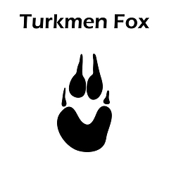 Image showing Turkmen Fox Footprint