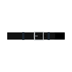 Image showing Trouser Belt Icon