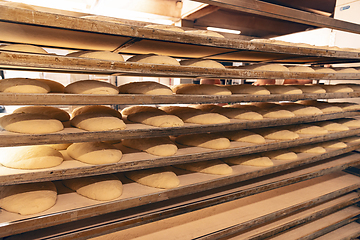 Image showing Dough for fresh bread