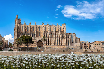 Image showing Gothic medieval cathedral La Seu and Royal Palace of La Almudaina. Palma de Mallorca. Balearic Islands Spain.