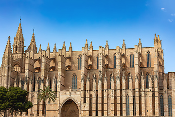 Image showing Gothic medieval cathedral La Seu and Royal Palace of La Almudaina. Palma de Mallorca. Balearic Islands Spain.