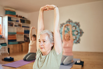 Image showing Yoga, fitness and senior woman in studio doing workout, stretching and training in exercise class. Wellness, retirement and active elderly female doing pilates, exercising and balance in gym lesson