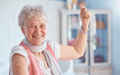 Image showing Covid, vaccine and bandaid with portrait of old woman for healthcare, medical and wellness. First aid, insurance and safety with senior patient and plaster for virus, protection and medicine