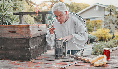 Image showing Smoking pot, farm and woman in honey production in a steel container on a sustainable bee field. Fire, farming and senior eco friendly beekeeper farmer manufacturing honeycomb outdoor in nature.