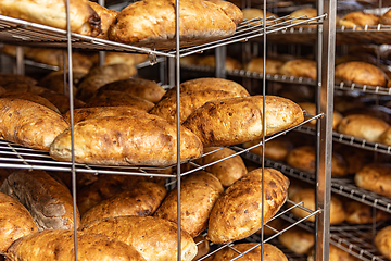 Image showing Fresh hot baked bread loafs