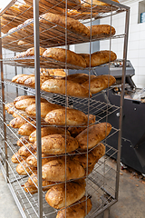 Image showing Fresh bread with golden crust