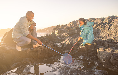 Image showing Fishing net, dad and kid, beach and ocean for learning, development and growth, summer holiday adventure and travel freedom. Happy girl child catch fish with parent in sea, nature and rock pool water