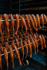 Image showing Smoking sea bass fish in smokehouse box