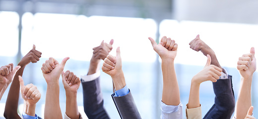 Image showing Group, hands and thumbs up for business, collaboration and success, goal or ok. People, like gesture and employees with emoji for agreement, team excellence and thank you for vote, review and support