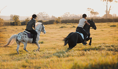 Image showing Horse riding, equestrian and hobby with friends in nature racing on horseback during a summer morning. Countryside, freedom and the back of female riders outdoor together for travel, fun or adventure