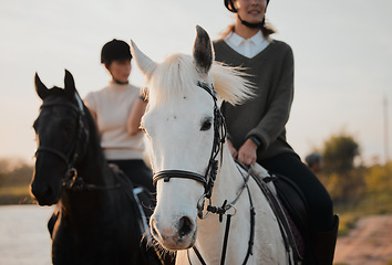 Image showing Horse ride, freedom and hobby with friends in nature on horseback by the lake during a summer morning. Countryside, equestrian and female people riding outdoor together for travel, fun or adventure