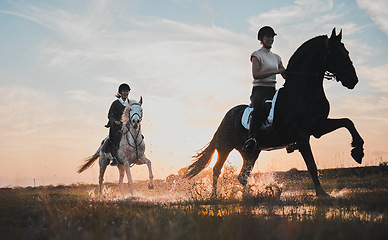 Image showing Sunset, girl and horse riding in water for adventure in nature for fun on weekend with friends. Vacation, riders and animal with woman or equestrian with running in outdoor or field, summer or race.