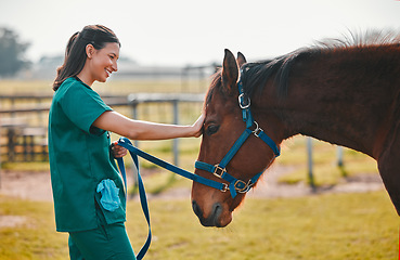 Image showing Woman veterinary, horse and medical care outdoor for health and wellness in the countryside. Happy doctor, professional nurse or vet person with an animal for help, touch and healthcare at a ranch