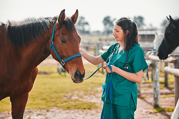 Image showing Horse, woman veterinary and medical exam outdoor for health and wellness in the countryside. Doctor, professional nurse or vet person with an animal for help, medicine and healthcare at a ranch