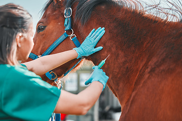 Image showing Horse, woman veterinary and injection outdoor for health and wellness on in the countryside. Doctor, professional nurse or vet person with an animal for help, medicine and medical care at a ranch