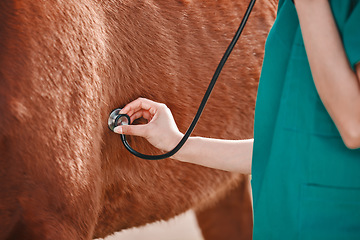 Image showing Horse, woman veterinary and stethoscope in hand outdoor for health and wellness. Doctor, professional nurse or vet person with an animal for help, medical care and listening to heart or breathing