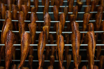 Image showing Smoking sea bass fish in smokehouse box