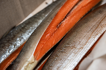 Image showing Smoked fish in craft paper box.