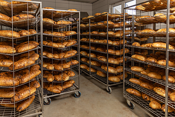 Image showing Bread bakery food factory