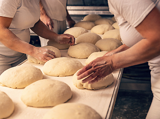 Image showing Bakers in the workplace