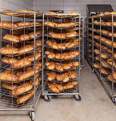 Image showing Freshly baked bread