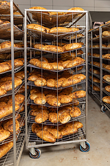 Image showing Rustic bread made from light flour