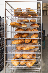 Image showing Freshly baked loaves of bread in a bakery