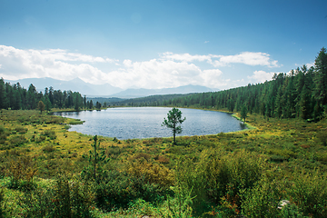 Image showing Lake Kidelyu in the Altai Mountains