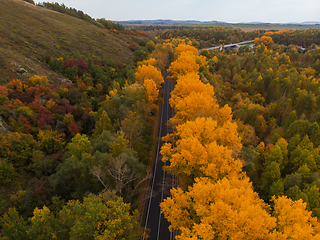 Image showing Aerial view of road in beautiful autumn Altai forest