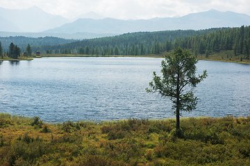 Image showing Lake Kidelyu in the Altai Mountains