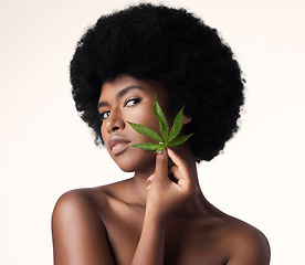 Image showing African woman, leaves and CBD in studio portrait for wellness, cosmetics or skincare by white background. Girl, model and hemp for beauty, makeup or natural glow on skin for aesthetic, afro or health