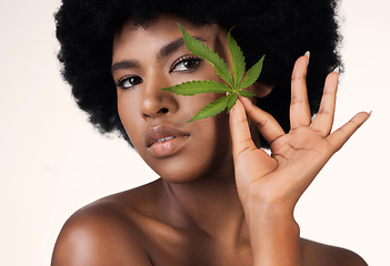 Image showing African woman, leaf and weed in studio portrait for wellness, cosmetics or skincare by white background. Girl, model and hemp for beauty, makeup or natural plant for skin aesthetic, afro and health