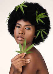 Image showing Woman, leaves and CBD skincare in studio portrait, pride or organic cosmetics by white background. African girl, model or hemp for beauty, makeup or natural glow on skin for aesthetic, afro or health