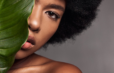 Image showing Black woman, eye and leaf, natural beauty and eco friendly cosmetics with facial on studio background. Face, portrait and African model with lashes, skincare and glow with sustainable dermatology