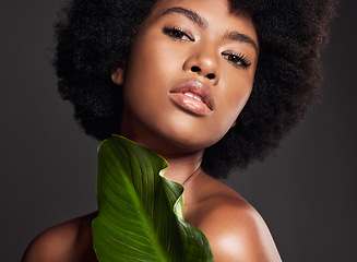 Image showing Black woman, face and leaf, natural beauty and eco friendly cosmetics with portrait on studio background. Facial, afro and African female model, skincare and glow with sustainable dermatology