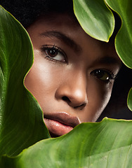 Image showing Closeup, face of black woman and leaves for natural skincare, nature and eco friendly beauty on studio background. Facial, green and African female model in portrait, skin and sustainable dermatology