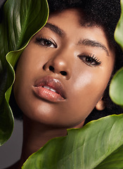 Image showing Face, black woman and leaves with natural beauty, nature and eco friendly skincare and portrait on studio background. Facial, green and African female model with skin glow and sustainable dermatology