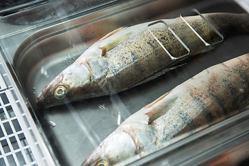 Image showing Fish and seafood stall in a market