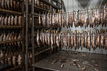Image showing Smoked fish production concept
