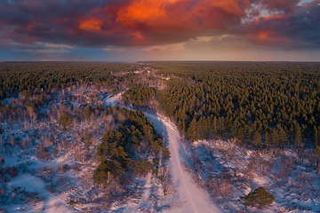 Image showing Aerial view of a heart shaped winter forest