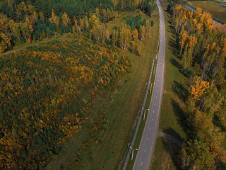 Image showing Aerial view of road in beautiful autumn Altai forest