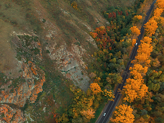 Image showing Aerial view of road in beautiful autumn Altai forest