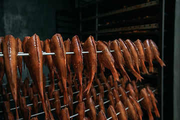 Image showing Smoking sea bass fish in smokehouse box